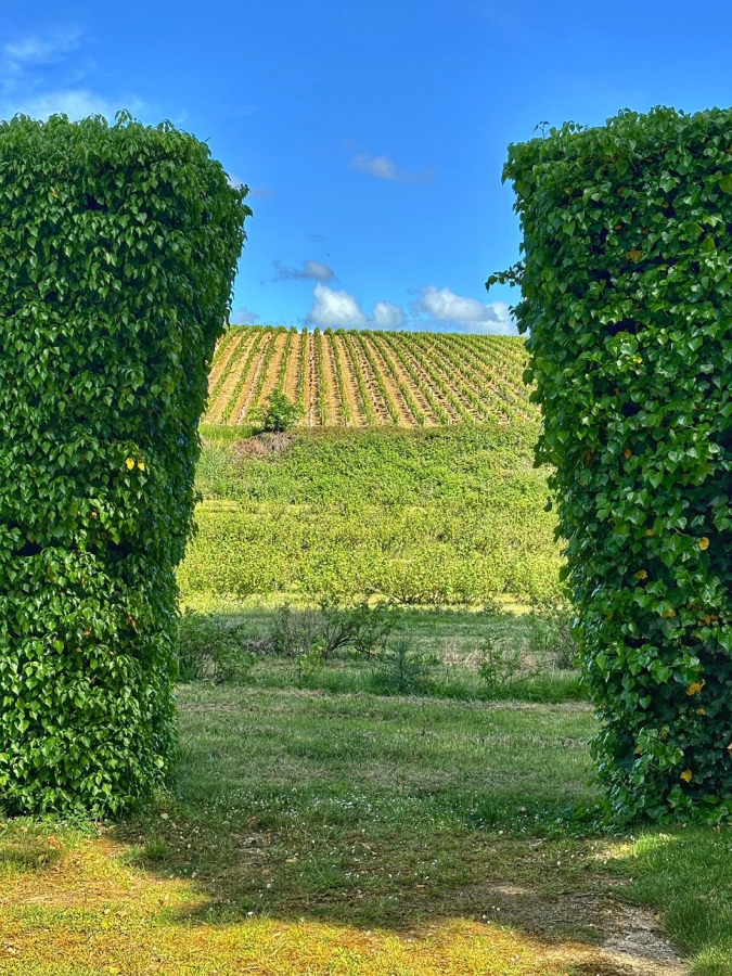 Bibenda Viaggi: Loira