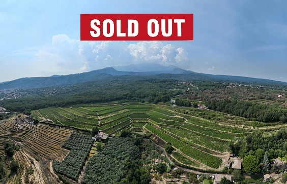 Bibenda Viaggi: Etna
