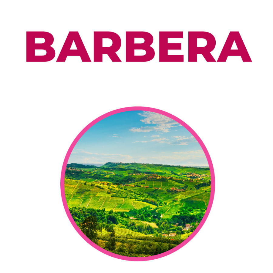 Corso sulla Barbera