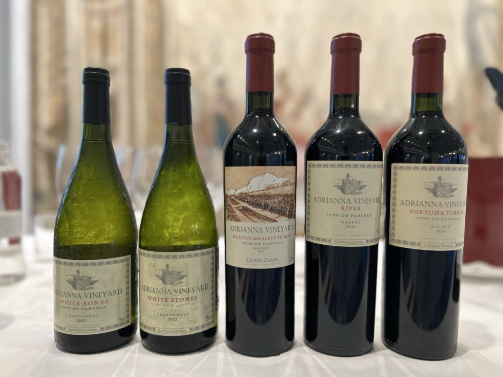 Catena Zapata - Adrianna Vineyard Catena Zapata - Adrianna Vineyard