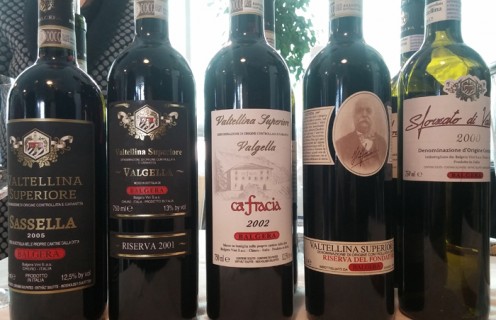 I vini dell'azienda Balgera I vini dell'azienda Balgera