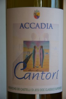 I vini di Cantine Accadia
