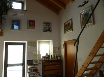 Cantine Accadia