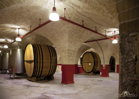 Cantina Masca del Tacco Cantina Masca del Tacco