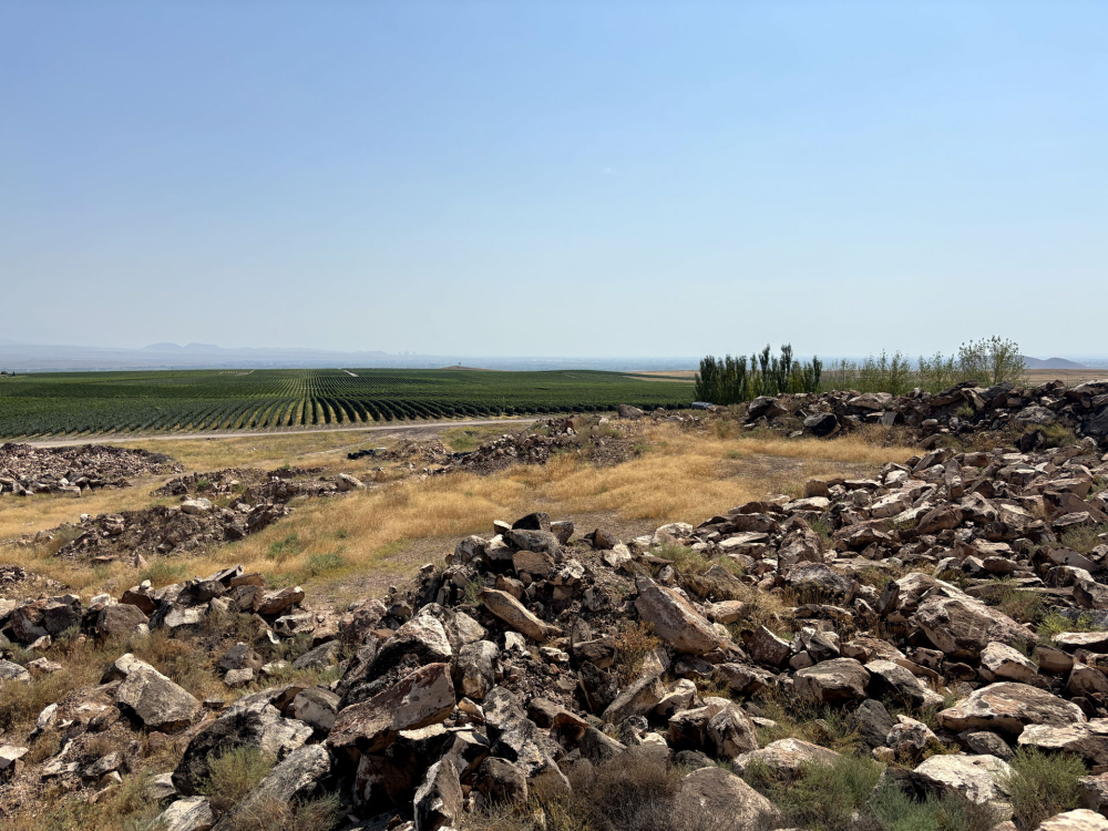 Karas, vista sulle vigne
