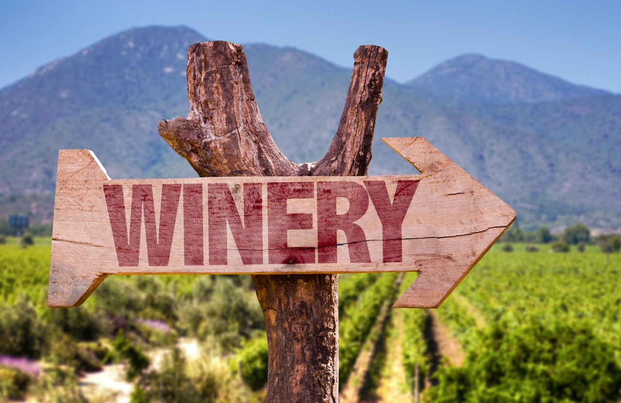 Argentina Vineyard ©shutterstock Argentina Vineyard ©shutterstock