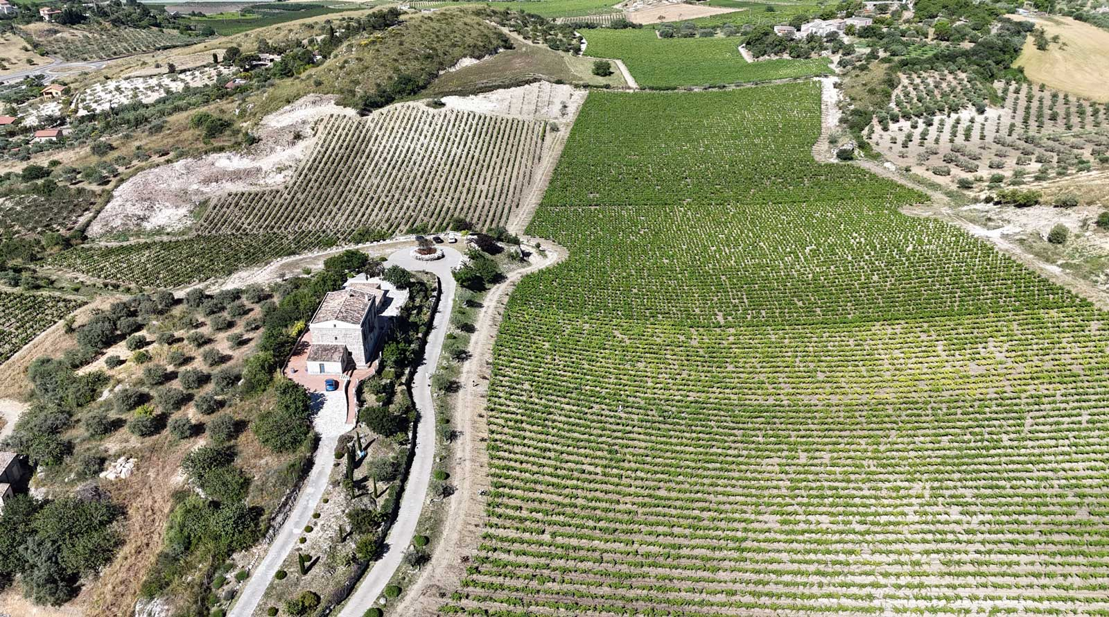 Tenute Lombardo - ARCA