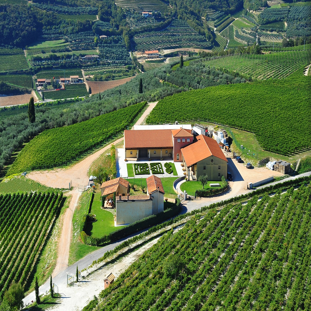 Tenuta Sant'Antonio - Panoramica dall'alto