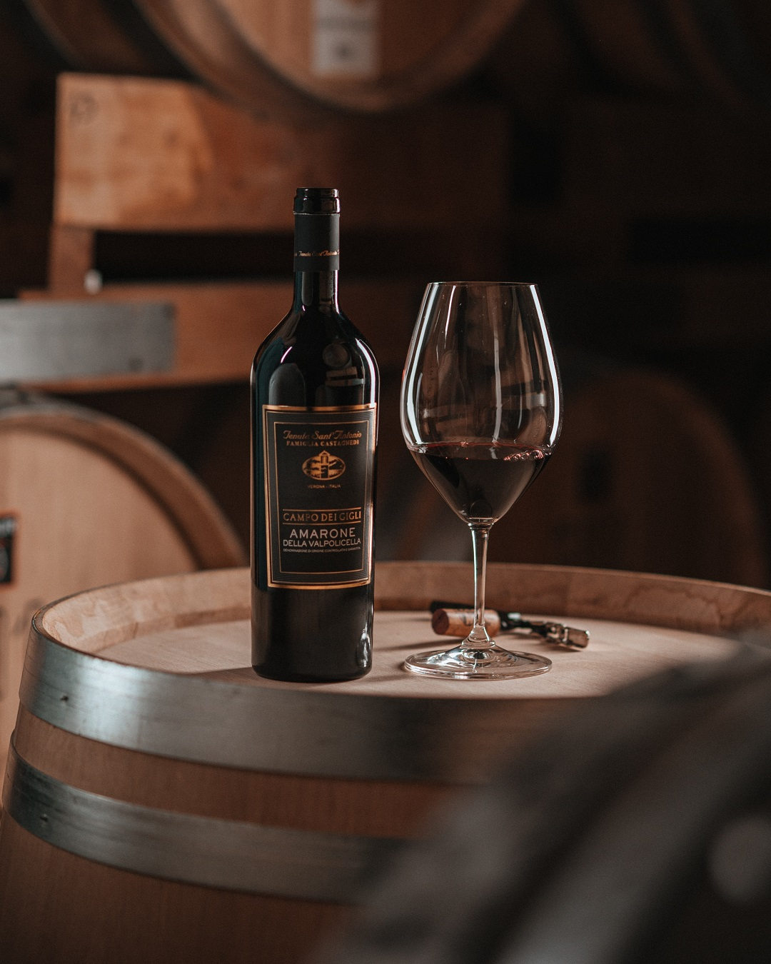 Amarone della Valpolicella Campo dei Gigli