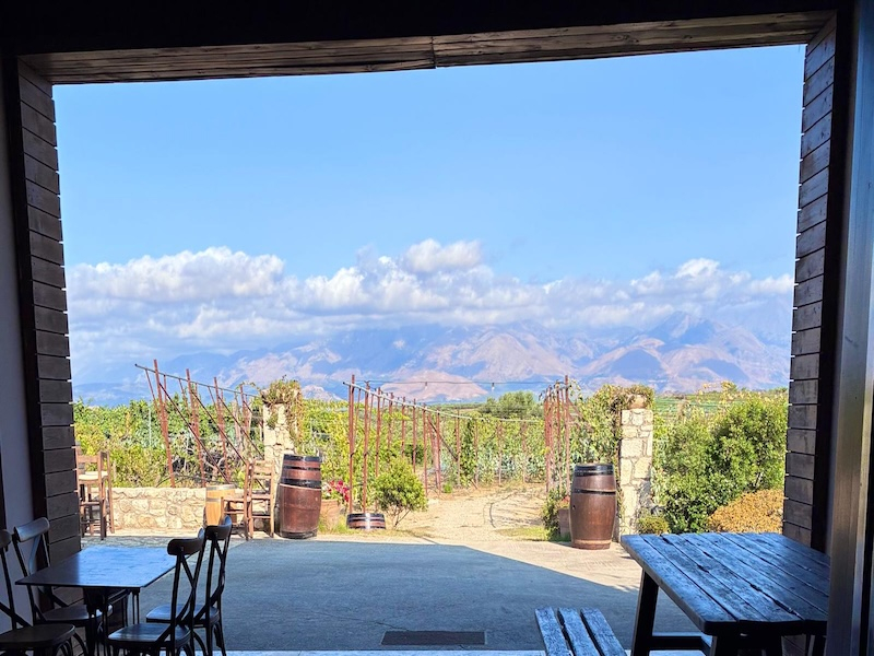 I vigneti di Creta